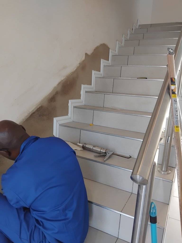 649202239-1532351098891783-507335472500916145-n